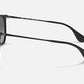 Ray Ban - Erika Color Mix Polarized Sunglasses Rb4171f 622/t3