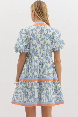 Entro - Garden Party Mini Dress