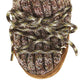 Moon Boot - WOMEN'S FULL MOON WOOL MULES