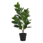 28" Tall Artificial Garcinia Tree in Black Pot
