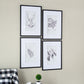 Verdura Botanica: Four-Print Houseplant Pencil Art Set