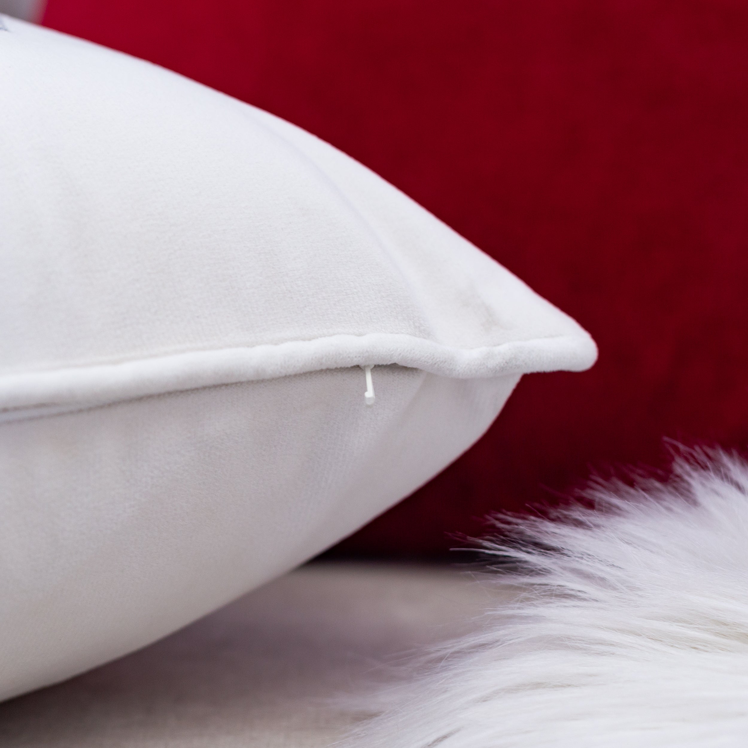 21819931