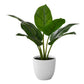 17" Tall Aureum Artificial Indoor Plant in White Pot