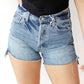 Pistola - Connor High Rise Vintage Shorts
