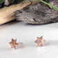 Astor & Orion - Women's Star Studs