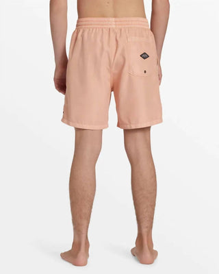 Billabong - All Day Overdyed Layback Surf Shorts