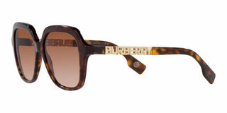 Burberry - Square Non Polarized Sunglasses - Be4389 300213 | 55