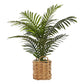24" Tall Artificial Palm Plant - Indoor Faux Greenery