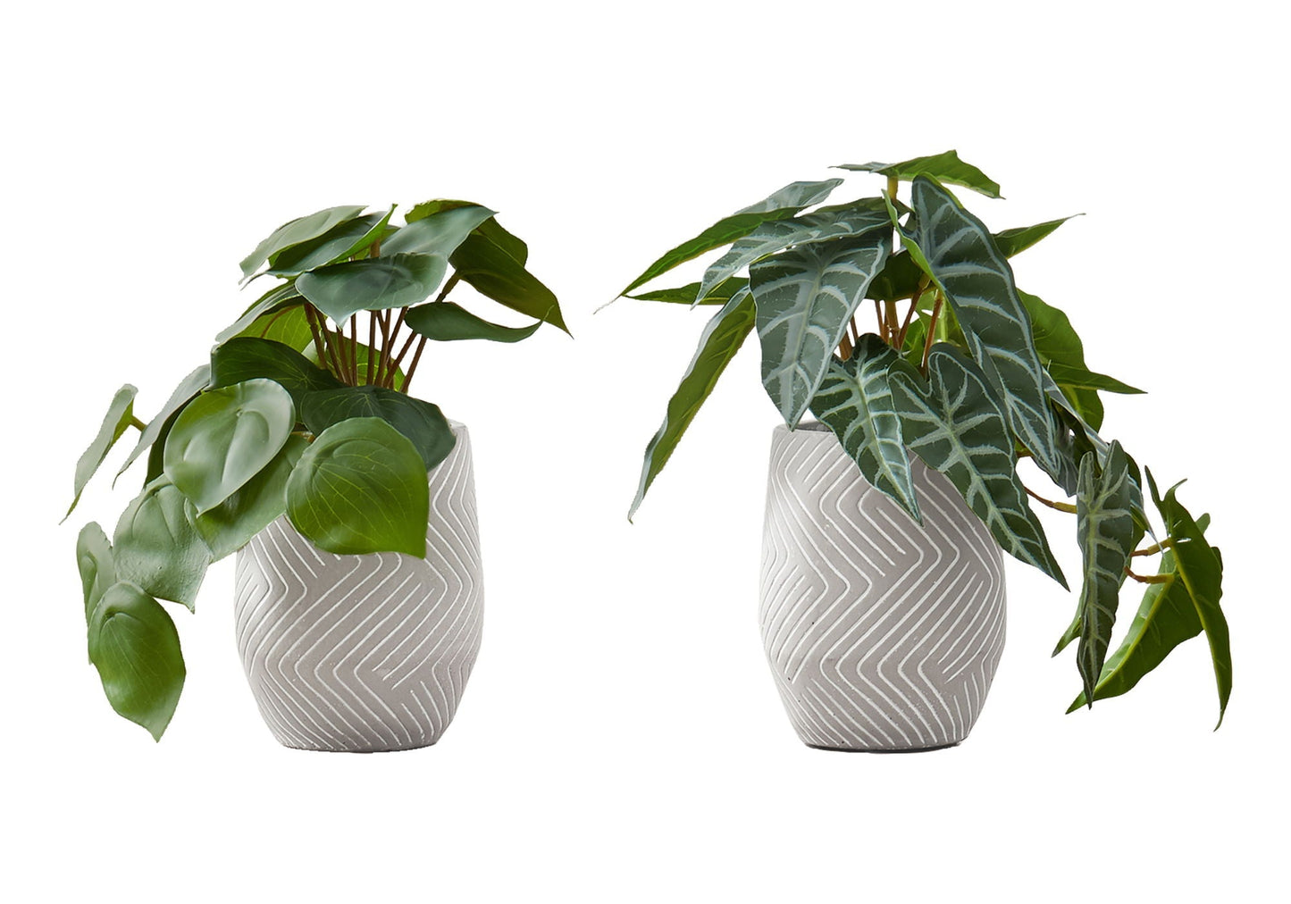 8" Tall Artificial Alocasia Plant Set of 2