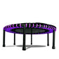 LEAPS & REBOUNDS 48" Mini Fitness Trampoline & Rebounder Gym Equipment, Purple