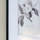 Verdura Botanica: Four-Print Houseplant Pencil Art Set