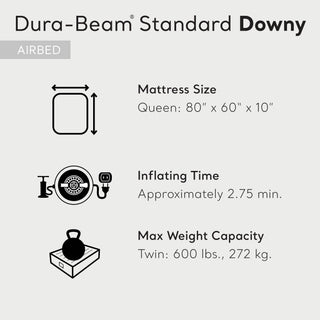 Intex 10 Inch Dura-Beam Standard Downy Air Mattress, Queen (Pump Not Included)