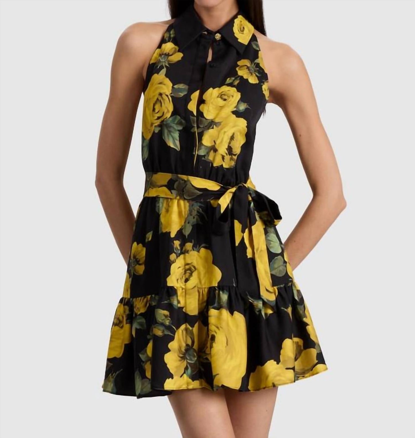 Alice + Olivia - Miranda Dress