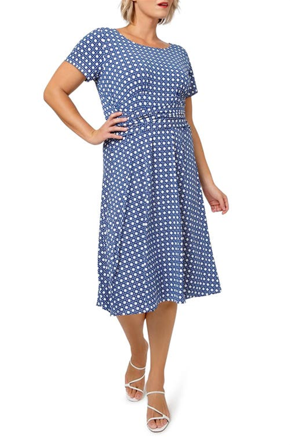 Leota Women's Brittany Print Fit & Flare Jersey Midi Dress Blue Size 1X