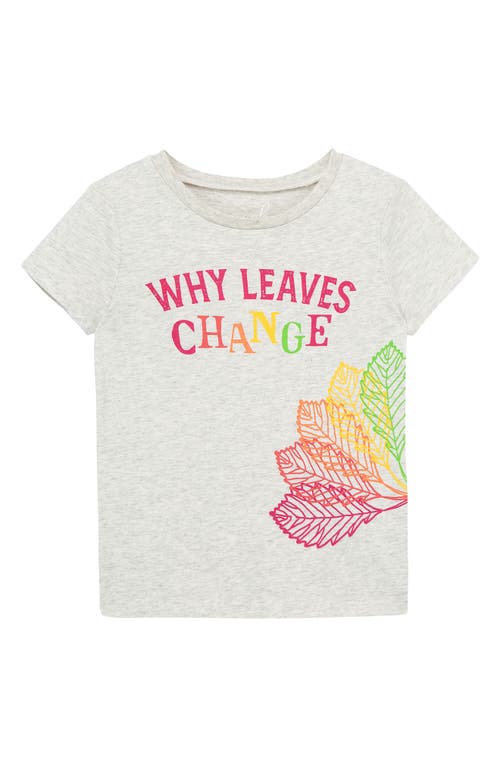 Peek Arent You Curious Leaves Change Graphic Tee  Grey Heather