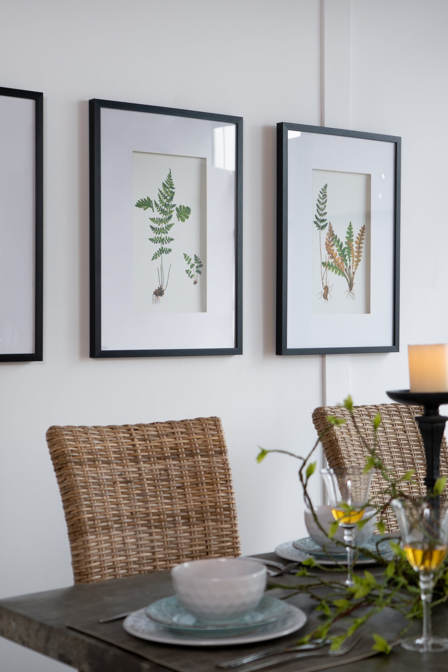 Verdant Grace™ — Elegant Fern Print Set