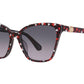 Kate Spade - WOMEN'S AMIYAH/G/S SUNGLASSES