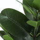 28" Tall Artificial Garcinia Tree in Black Pot