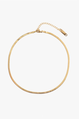 Marrin Costello - Women's Ramsey Choker Necklace