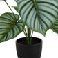24" Tall Artificial Calathea Plant