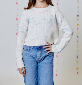 Design History - Speckled Sweater