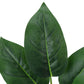 17" Tall Aureum Artificial Indoor Plant in White Pot