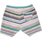 Hooey - Boy's Stripe Volley Boardshorts