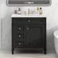 Bathroom Vanity With 2 Drawers and Tip-Out Drawer Storage Cabinet