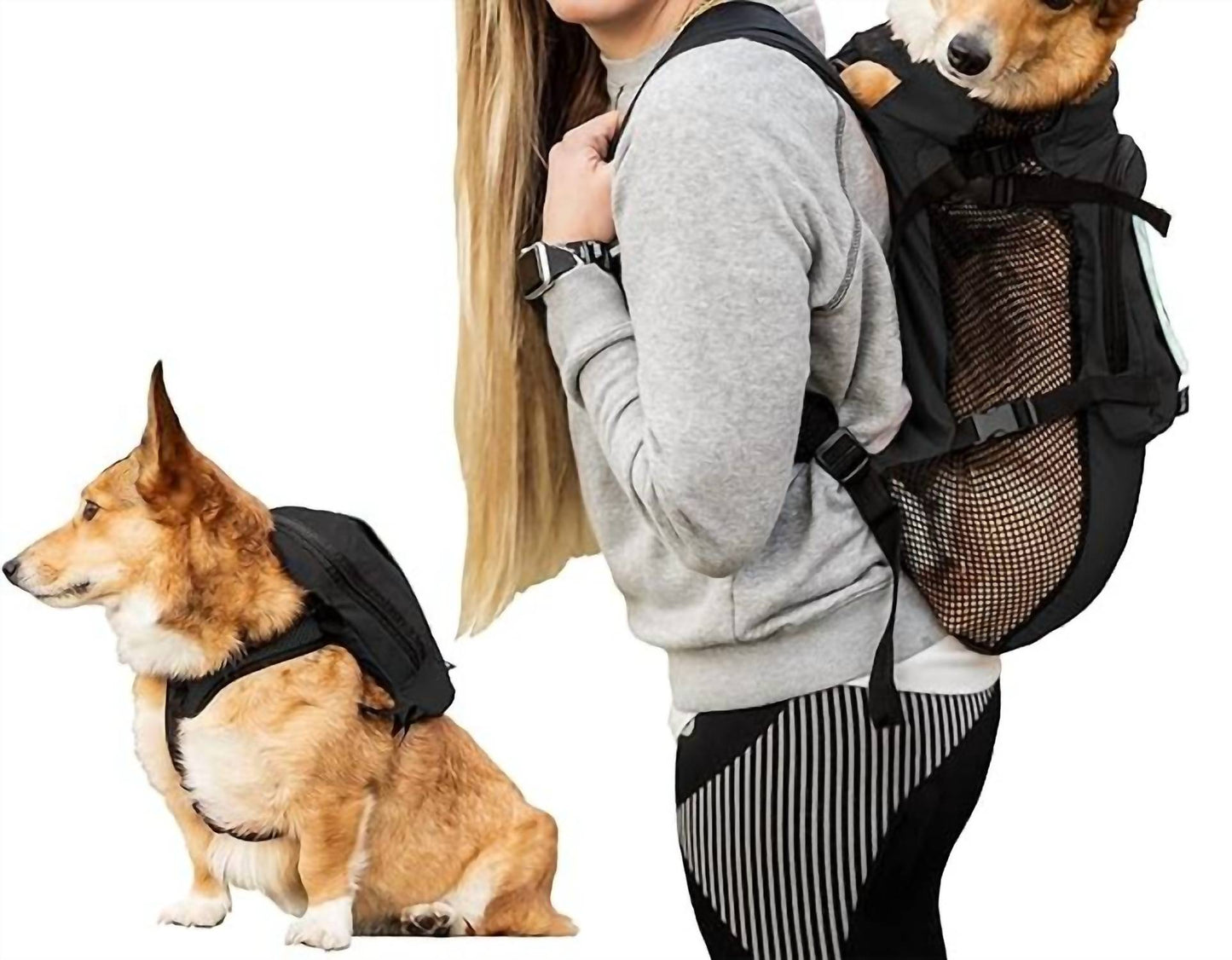 K9 Sport Sack - Walk-on | Lightweight & Packable Dog Carrier With Harness & Storage