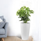 Set of 2 Faux Rattan Tall Planters with Automatic Watering System