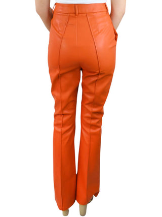 Amylynn - Colorful Option Faux Leather Pants