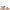 sofft-womens-napa-flat-sandals-1