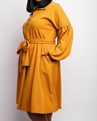 The Curve La - Plus Size Button Front Fit And Flare Dress With Pockets