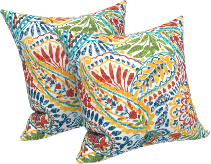 2 Pack Outdoor Throw Pillows (18x18 Inch)