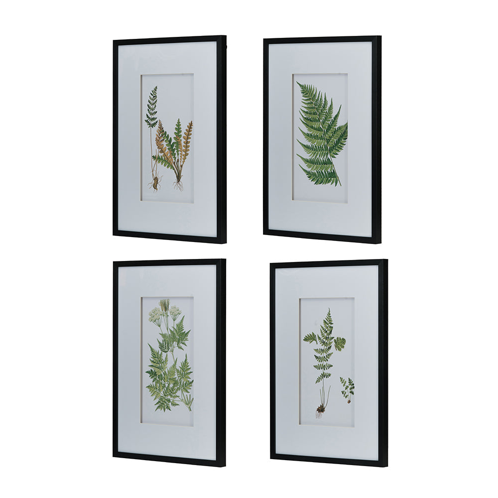 Verdant Grace™ — Elegant Fern Print Set