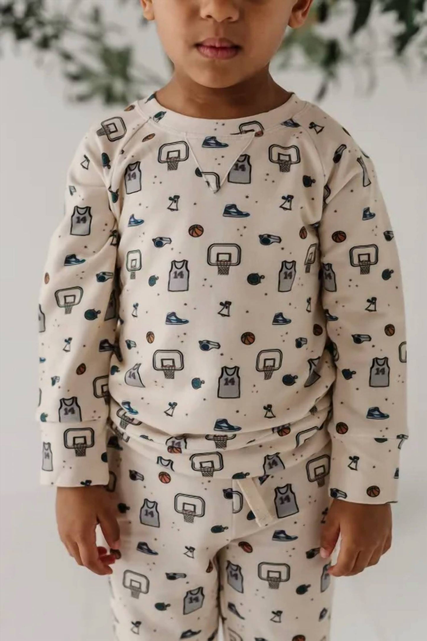 Babysprouts - Boys Raglan Sweatshirt