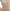 free-people-minding-my-business-sheer-top