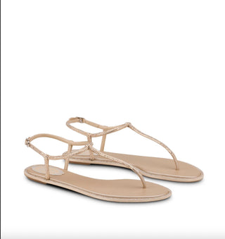 Rene Caovilla - Women's Diana Sandal