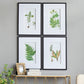 Verdant Grace™ — Elegant Fern Print Set