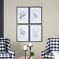 Verdura Botanica: Four-Print Houseplant Pencil Art Set