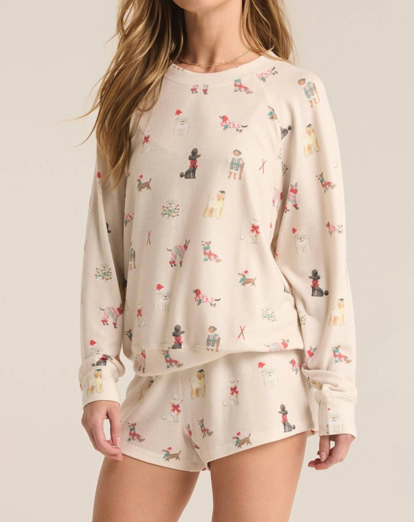 Z Supply - Best Friend Raglan Long Sleeve Top