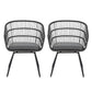Terry Chair Set of 2