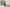 23" Tall, Artificial Plant, Grass, Indoor, Faux, Fake, Table, Greenery, Potted, Real Touch, Decorative - Green / Black