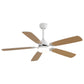 Ceiling Fan With LED Light, 6-Speed Wind, 5 Blades, Remote Control DC Motor