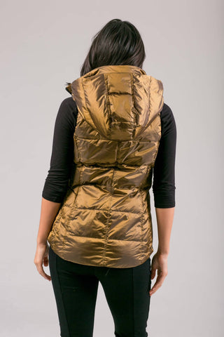 Anorak - Long Down Puffer Vest
