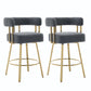 Decorative Upholstered Side Chair For Living Room (Set of 2)