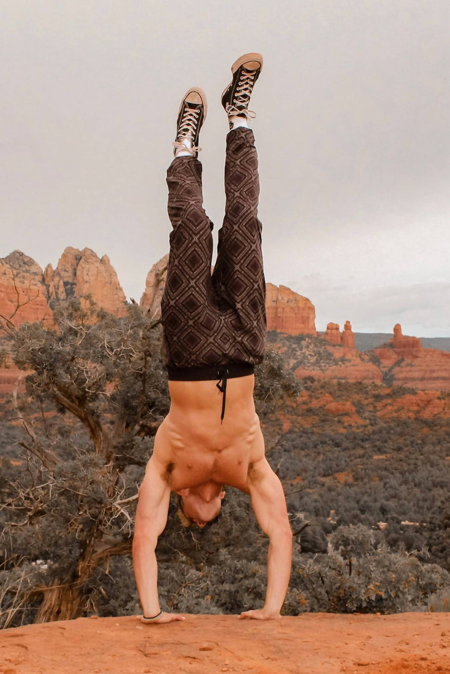 Wolven - Lineage Print Summit Jogger Pants