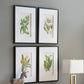 Verdure Elegance™ — Set of 4 Botanical Wall Art Prints
