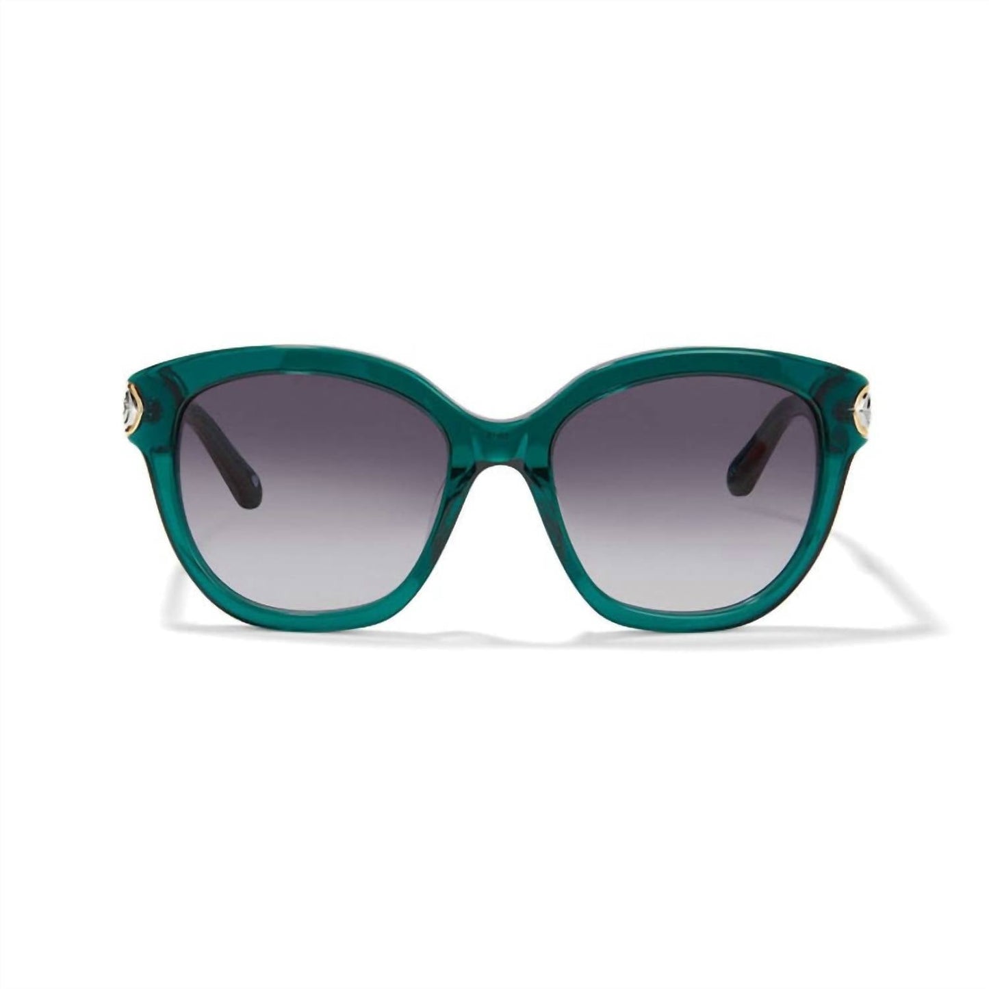 Brighton - Women's Intrigue Sunglass