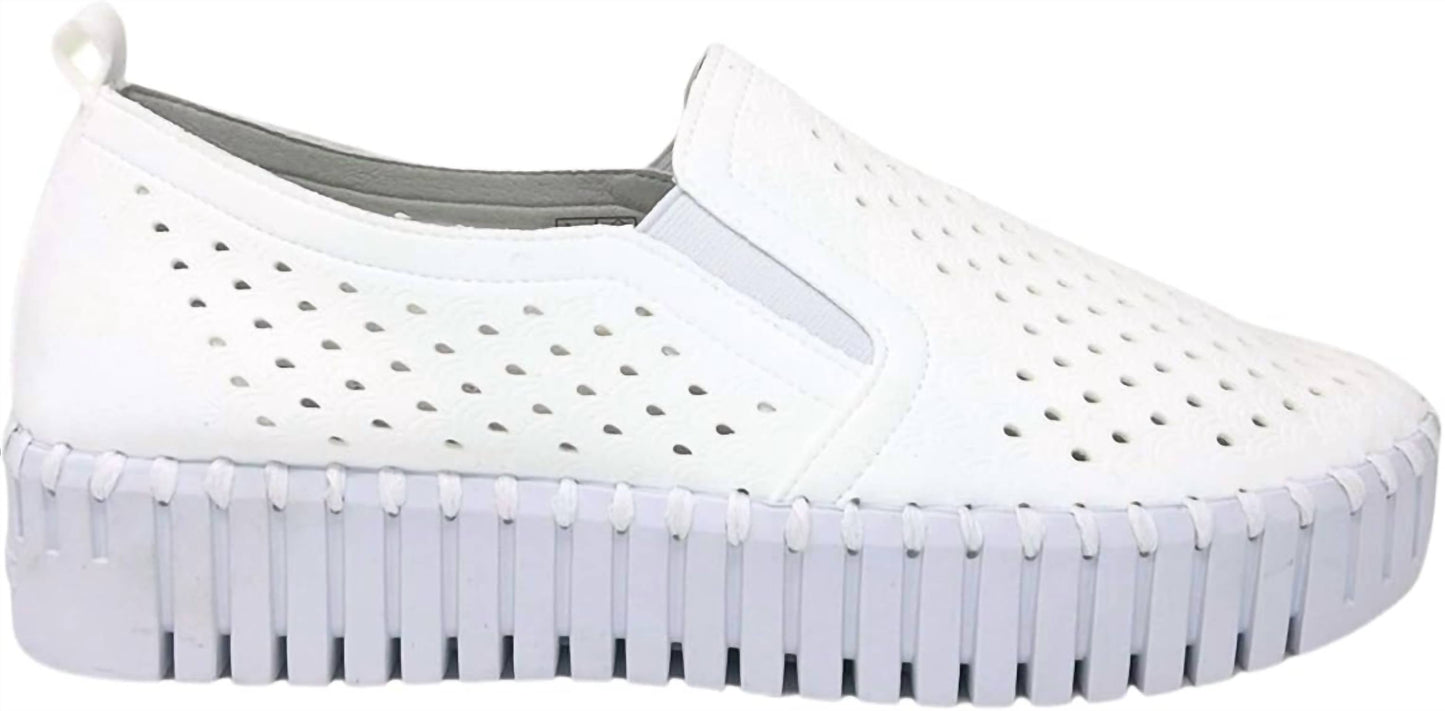 Ilse Jacobsen - Women's Tulip Platform Sneaker